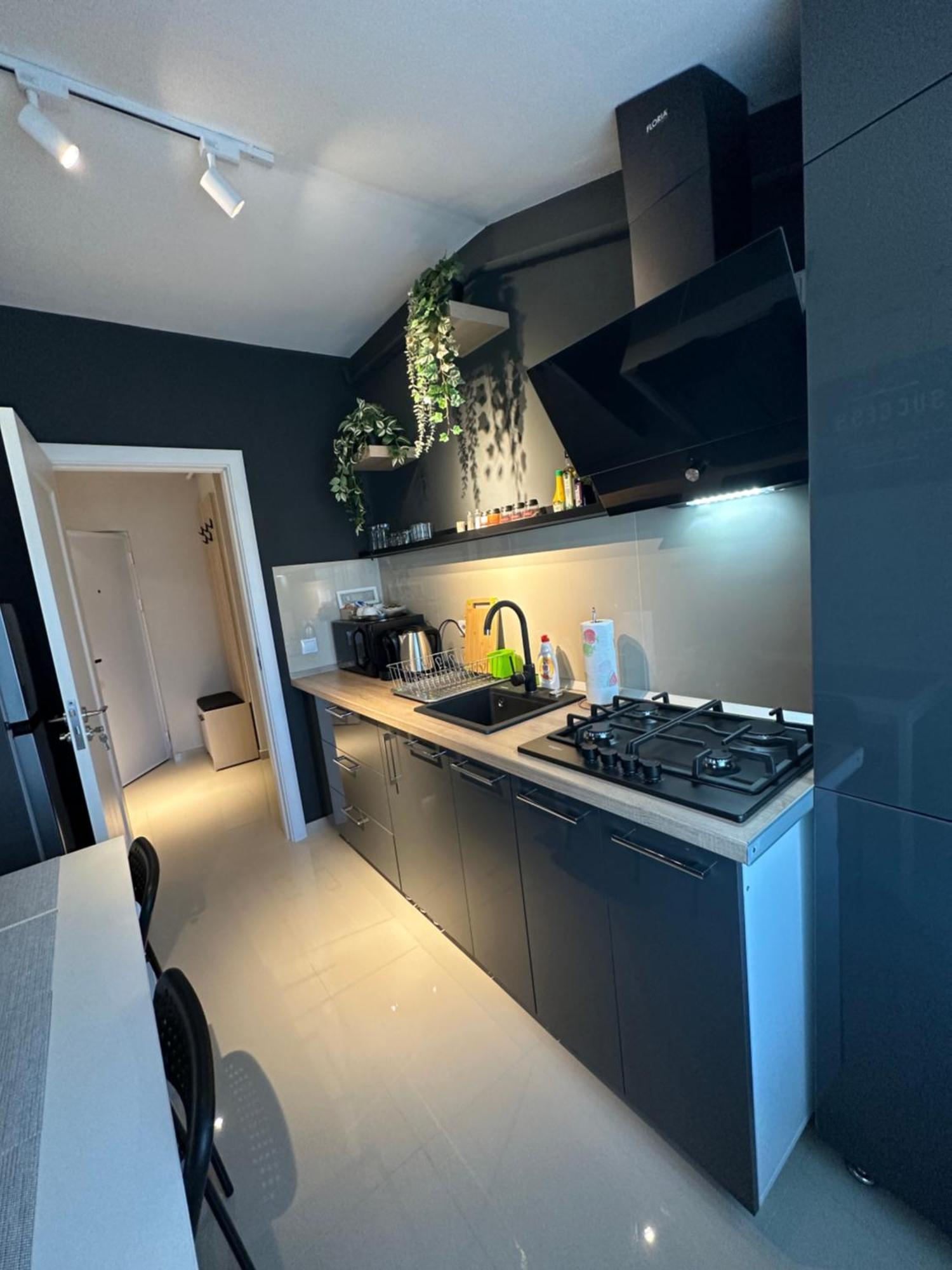 Complex Rediu 54 Luxury Apartaments Iasi Esterno foto